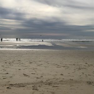 Meet your Posher, Mushkie